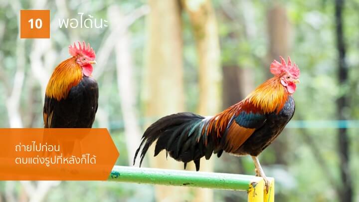 ถ่ายไปก่อน แต่งรูปที่หลัง